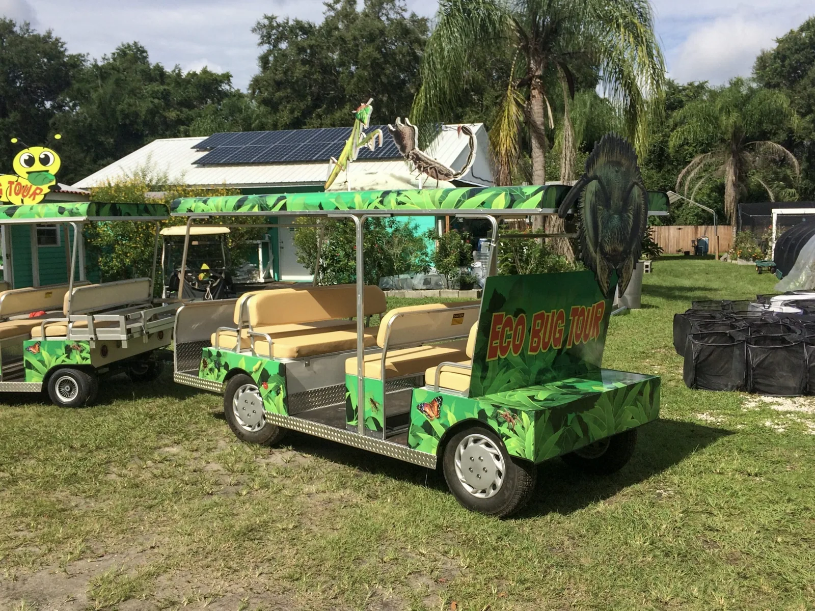 Butterfly Dans — Eco Bug Tour cart with green jungle-print wrap and a bug graphic, Butterfly Dan's project