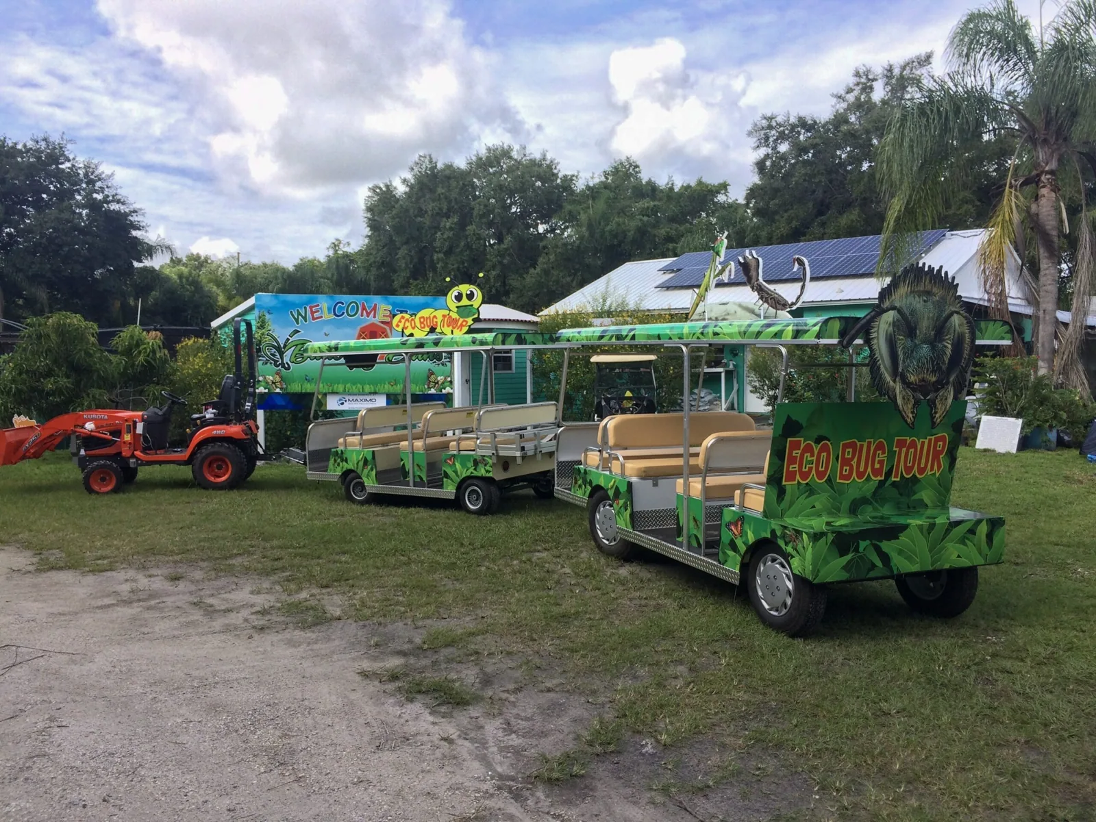 Row of tram-style tour carts with jungle-print wraps parked on a lawn, Butterfly Dan's project