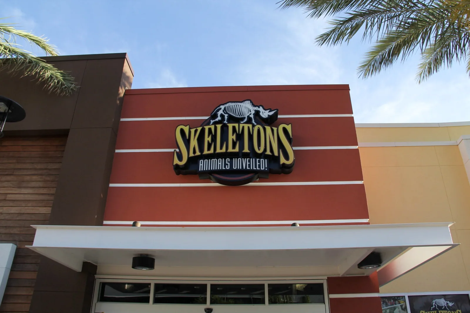 Skeletons — Skeletons Animals Unveiled! sign on a red striped storefront facade, Skeletons project