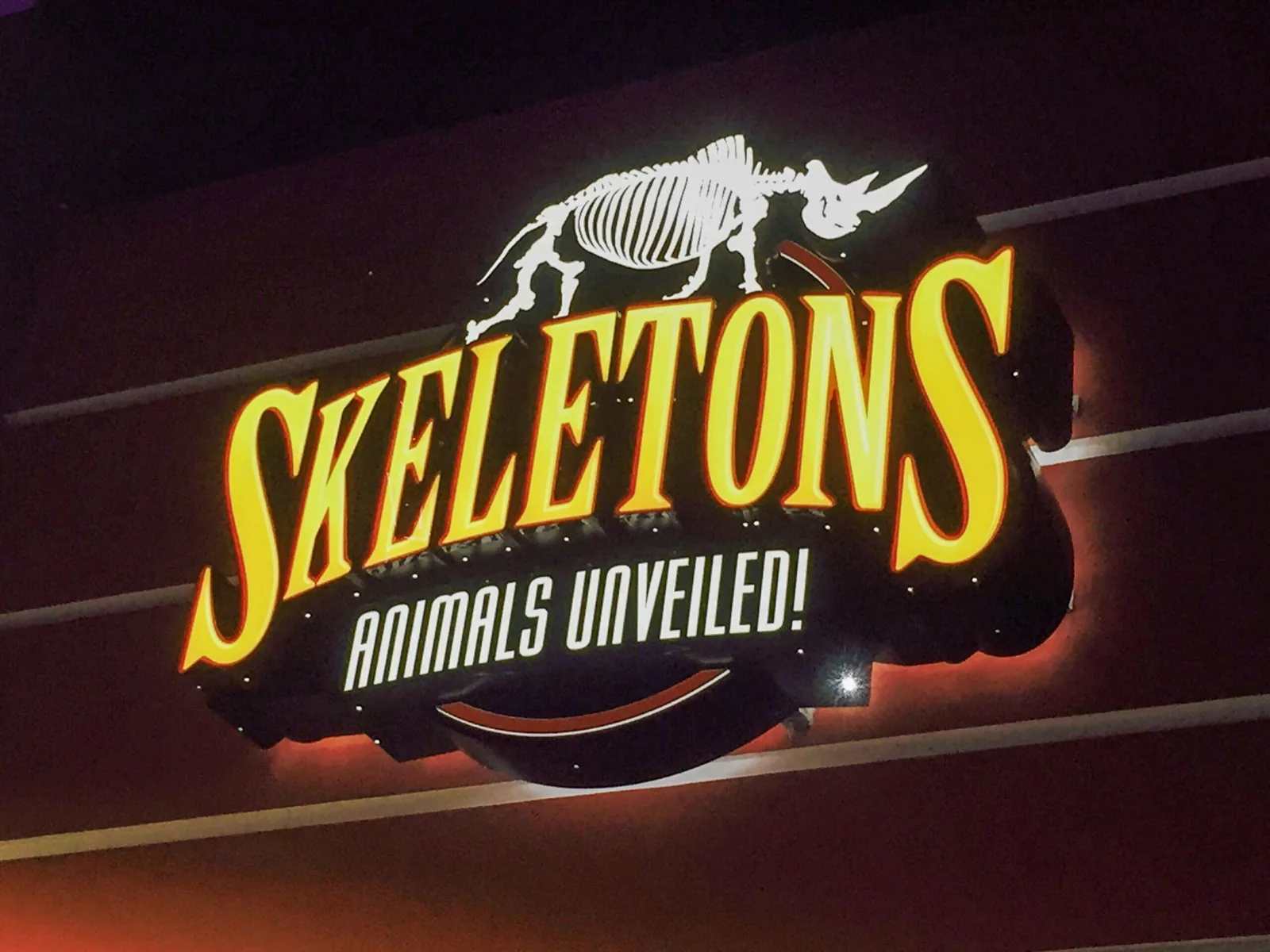 Illuminated Skeletons Animals Unveiled! sign with rhinoceros skeleton graphic at night, Skeletons project
