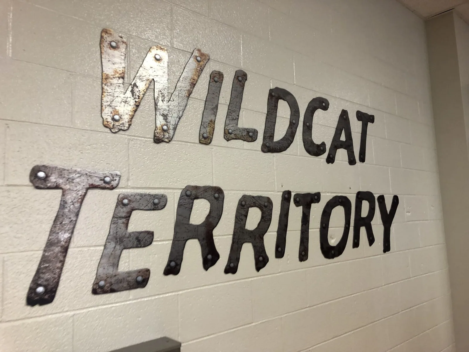 Winter Park High School — Wildcat Territory distressed-metal-look letters on a block wall, Winter Park High School project