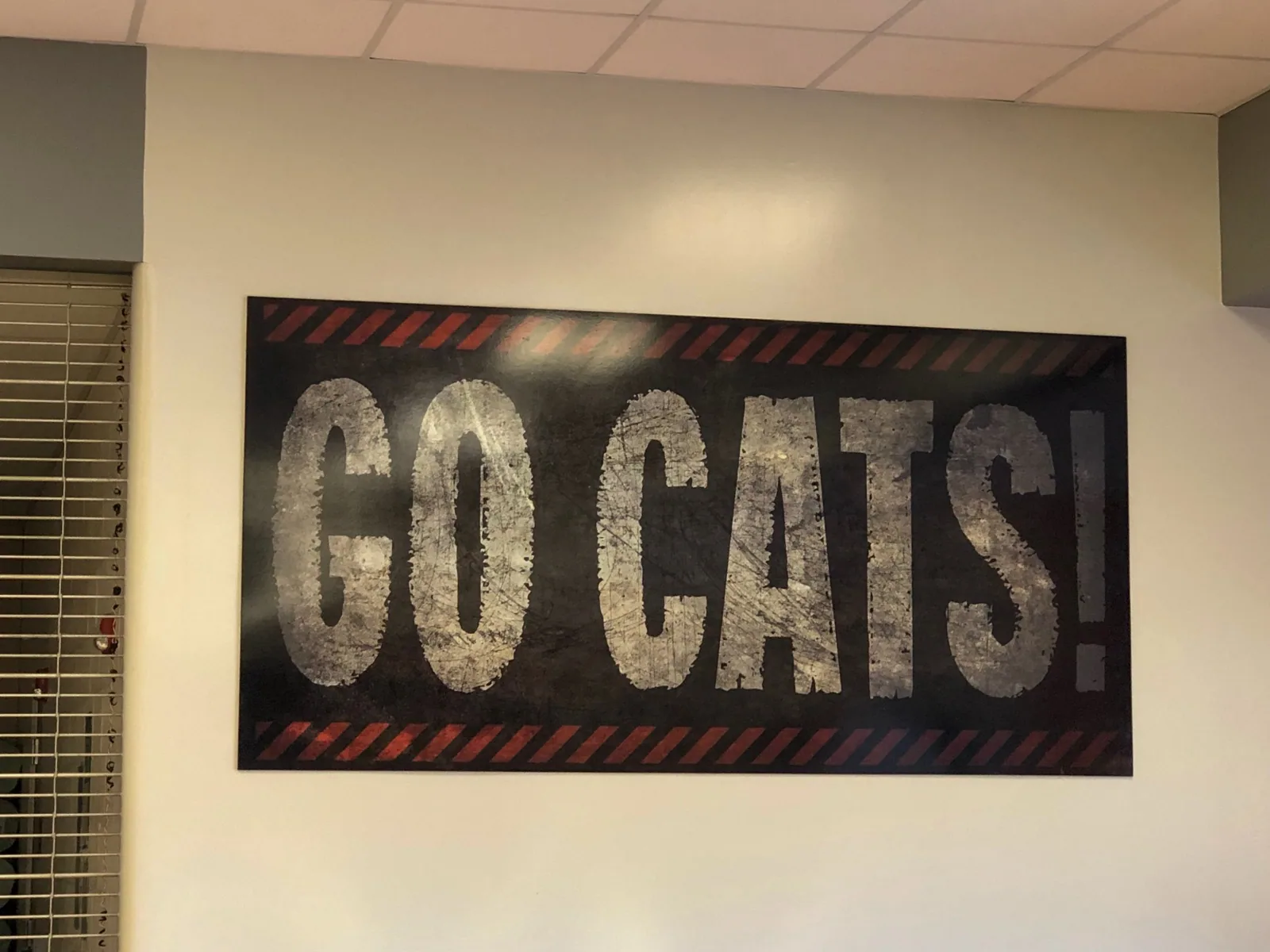 Winter Park High School — Go Cats! printed wall panel in a school hallway, Winter Park High School project