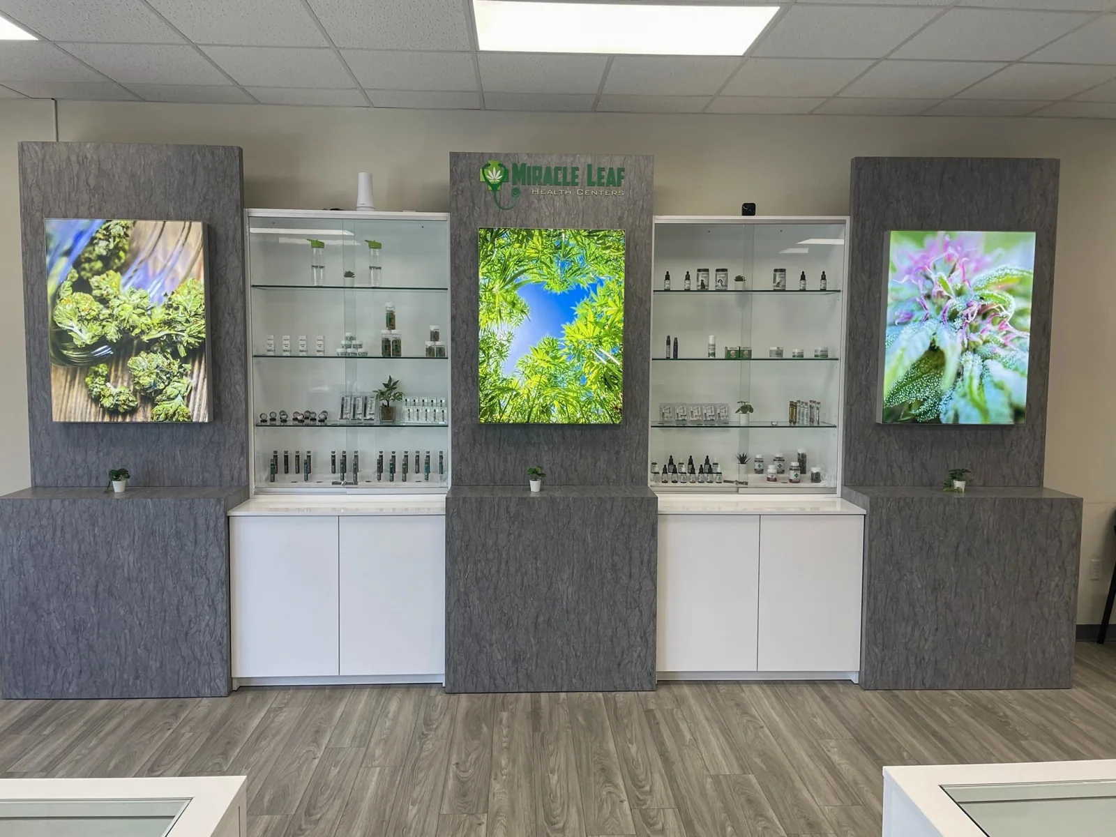 Retail display wall with backlit photo panels and the Miracle Leaf logo, Miracle Leaf Orlando project